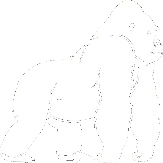 KONG
